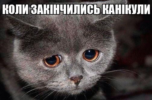 Мемы о каникулах - идеальное летнее время, которое скоро завершится - 754704 Мемы о каникулах - идеальное летнее время, которое скоро завершится - фото 754704