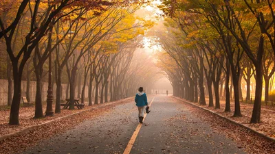 Конец года принесет испытания для этих знаков: они могут потерять самое дорогое