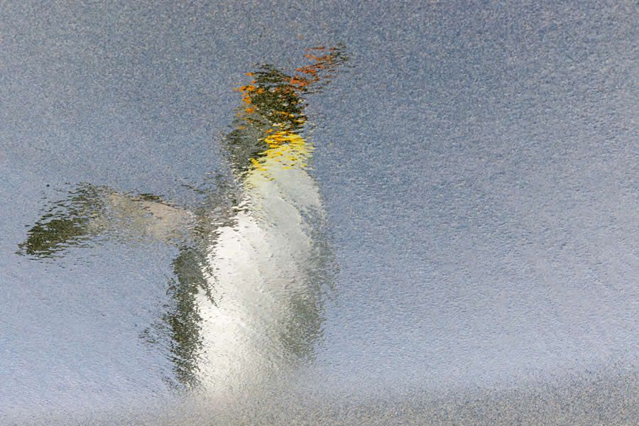 Конкурс Ocean Photographer of the Year 2025 представив фіналістів, і їх фото - прекрасні - 755676 Конкурс Ocean Photographer of the Year 2025 представив фіналістів, і їх фото - прекрасні - фото 755676
