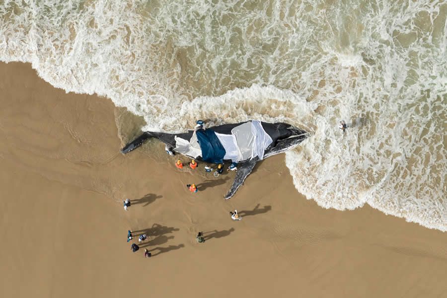 Конкурс Ocean Photographer of the Year 2025 представив фіналістів, і їх фото - прекрасні - 755678 Конкурс Ocean Photographer of the Year 2025 представив фіналістів, і їх фото - прекрасні - фото 755678