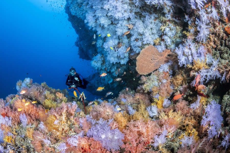 Конкурс Ocean Photographer of the Year 2025 представив фіналістів, і їх фото - прекрасні - 755682 Конкурс Ocean Photographer of the Year 2025 представив фіналістів, і їх фото - прекрасні - фото 755682