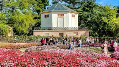 10 найкращих таємних парків та садів Європи - місця, куди хочеться потрапити