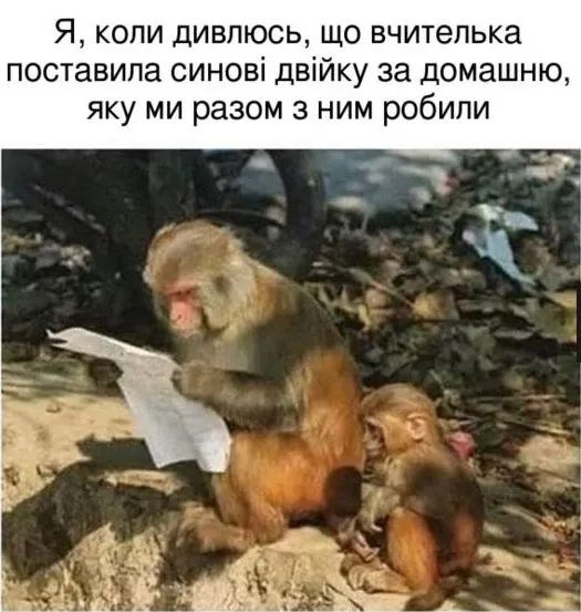 Смішні картинки та меми про школу, що пробуджують теплі спогади дитинства - фото 755823