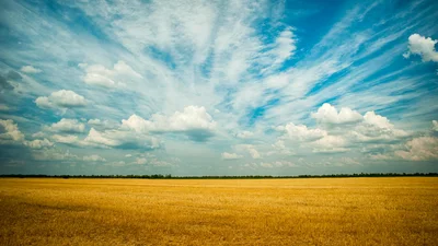 Поздравления с Днем Флага Украины 2025 для настоящих патриотов