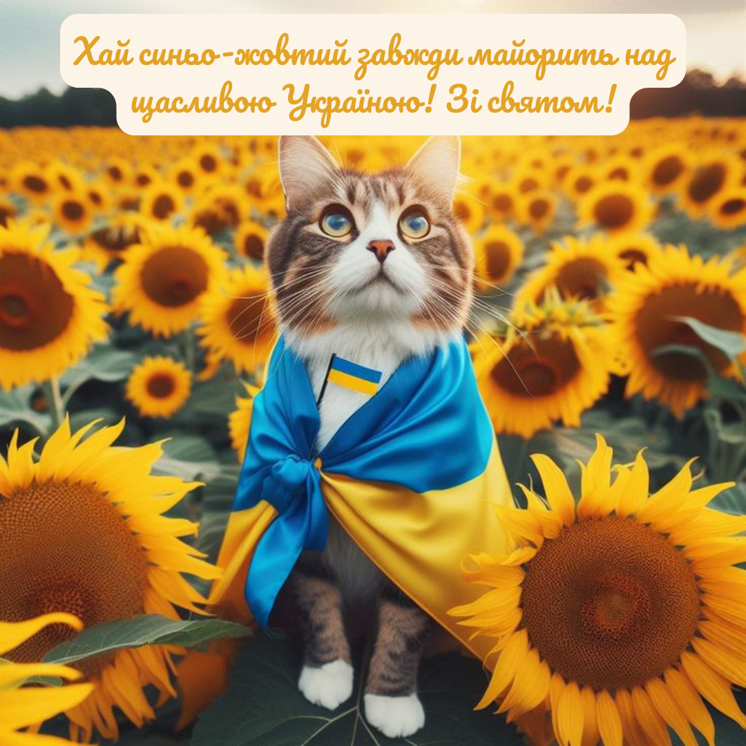 картинки до Дня Прапора для сторіс - фото 755975