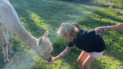 Де відпочити з дітьми в останні дні літа: ферма альпак з купою розваг здивує і зекономить бюджет