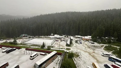 Карпати засипало снігом у День Незалежності України - неймовірні кадри