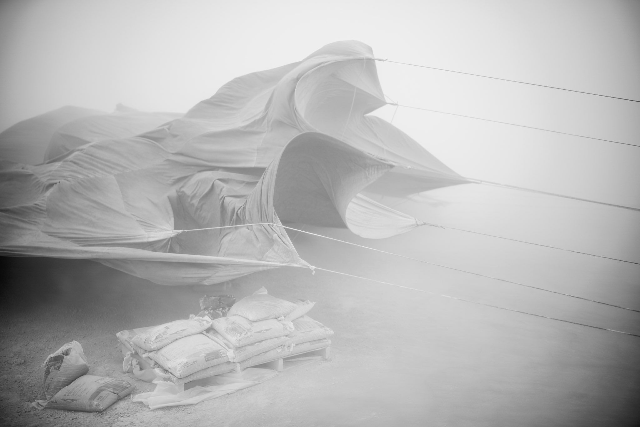 Украинскую инсталляцию на фестивале Burning Man снесло ураганом: 'Чорна хмара' простояла всего день - 757170 Украинскую инсталляцию на фестивале Burning Man снесло ураганом: 'Чорна хмара' простояла всего день - фото 757170