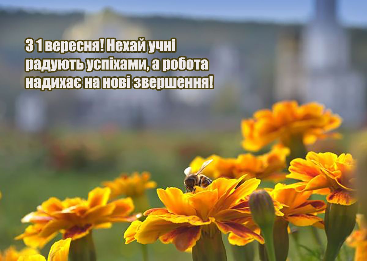 вітаємо зі святом першого вересня як правильно  - фото 757239