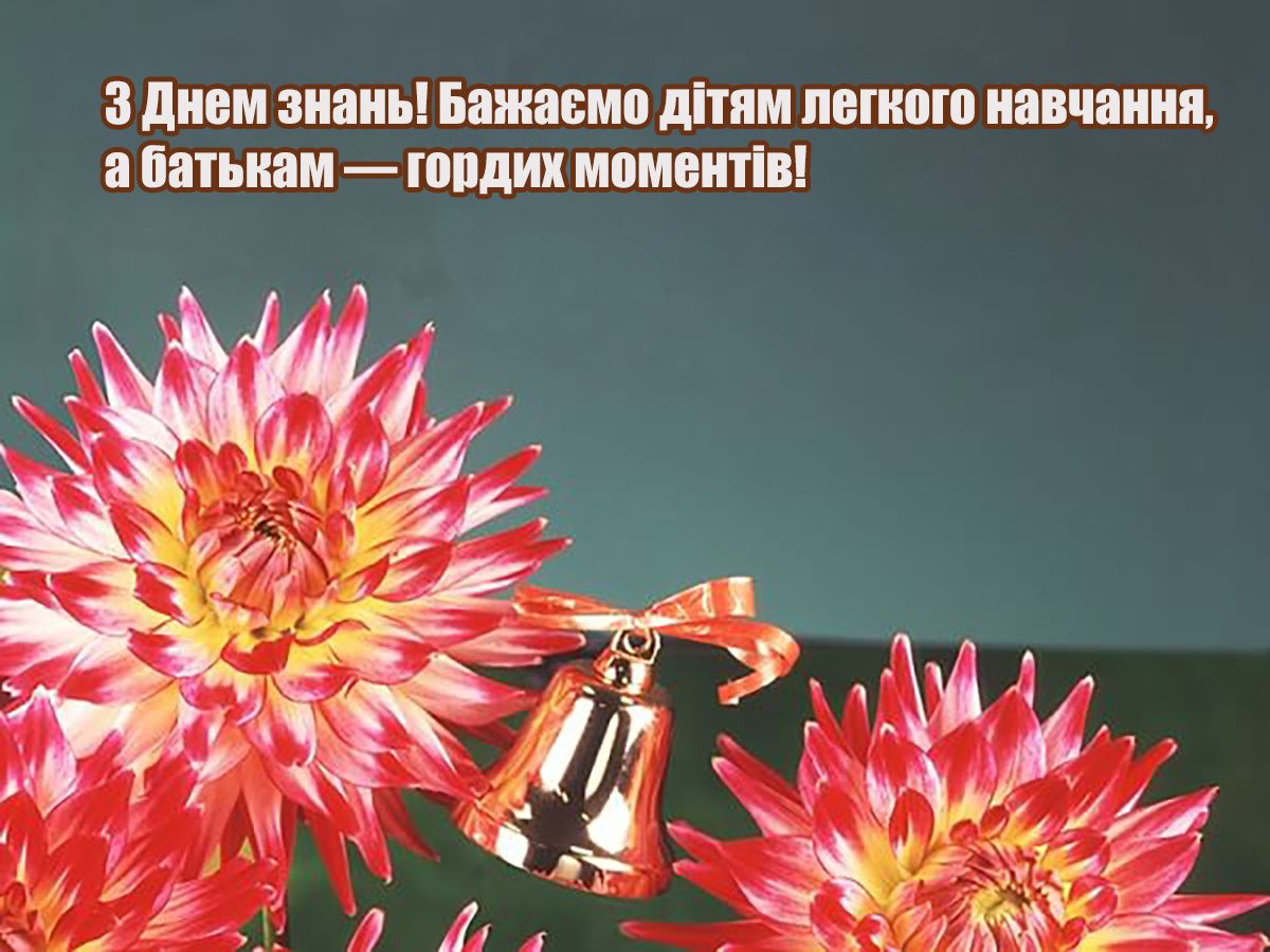 картинки з 1 вересня скачати безкоштовно - фото 757261