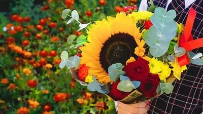 С Первым сентября 2025 - открытки и поздравления для школьников, которые вдохновят на большие достижения