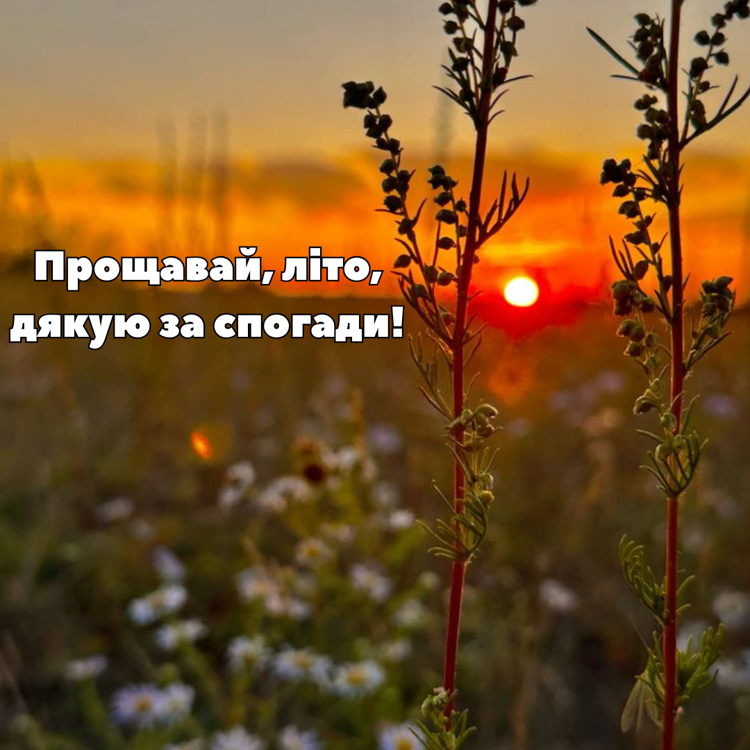 останній день літа картинки - 757597 останній день літа картинки - фото 757597
