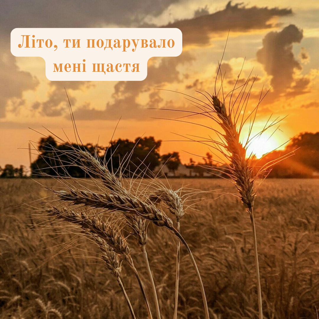 Последние мгновения лета: цитаты и картинки, которые сохранят теплое настроение - 757612 Последние мгновения лета: цитаты и картинки, которые сохранят теплое настроение - фото 757612