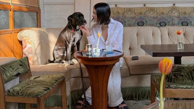 Тренди осені 2025: ось які інтер’єри збирають тисячі збережень на Pinterest