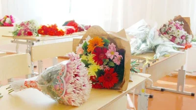 Топ стихов для первоклашек на 1 сентября 2025, которые легко выучить и весело читать