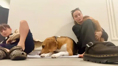 Ірина Білик з гумором, а Мішина та Сумська – емоційно: реакція зірок на ніч у Києві