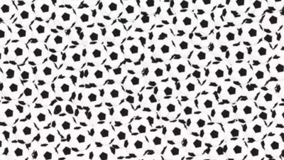 Оптическая иллюзия: почти никому не удается увидеть панду среди футбольных мячей