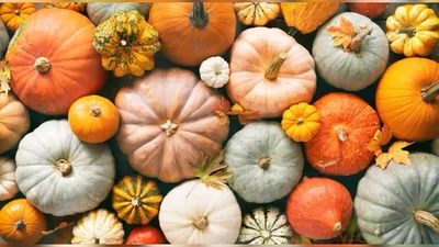 Атмосферні привітання з Першим днем осені 2025 - тематичні листівки та мила проза для душі