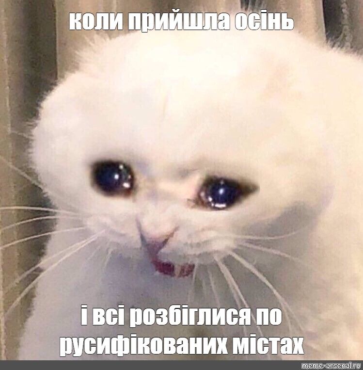 Мемы про осень: когда еще даже не похолодало, а уже хочется чаю, под одеяло и на ручки - фото 759666