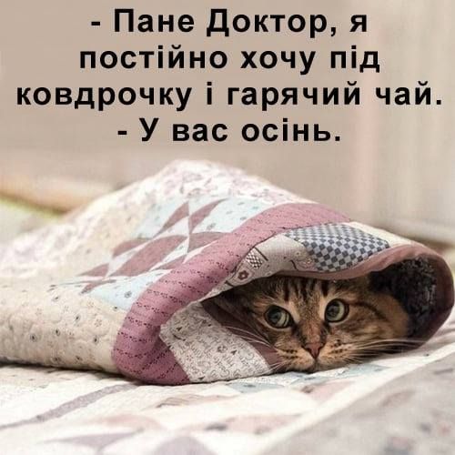 Мемы про осень: когда еще даже не похолодало, а уже хочется чаю, под одеяло и на ручки - фото 759667