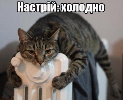 Мемы про осень: когда еще даже не похолодало, а уже хочется чаю, под одеяло и на ручки - фото 759669