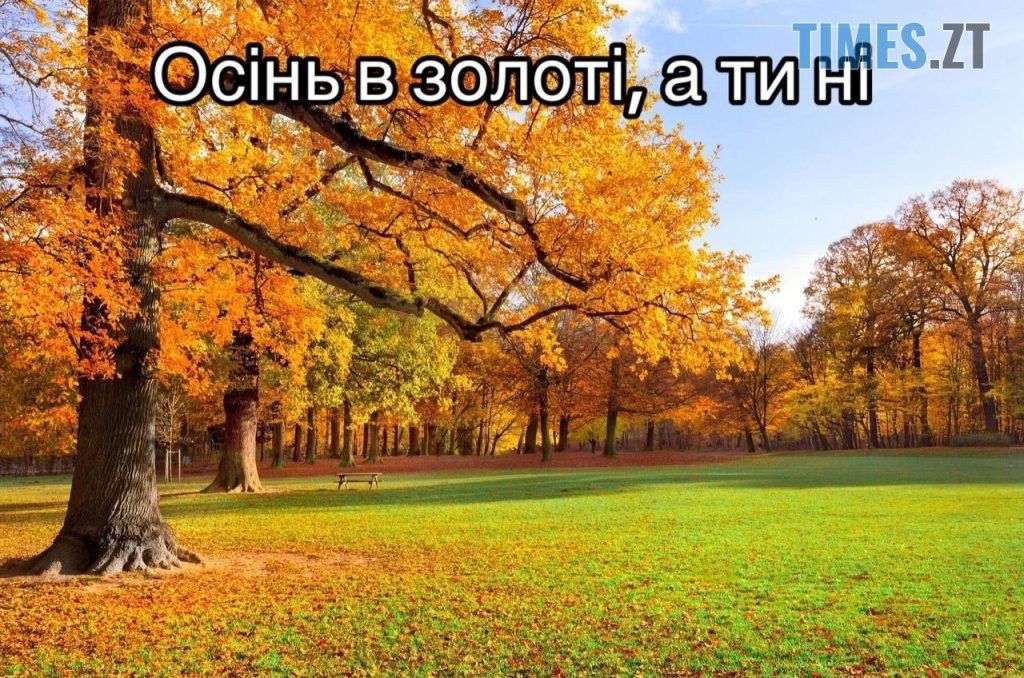Мемы про осень: когда еще даже не похолодало, а уже хочется чаю, под одеяло и на ручки - фото 759679