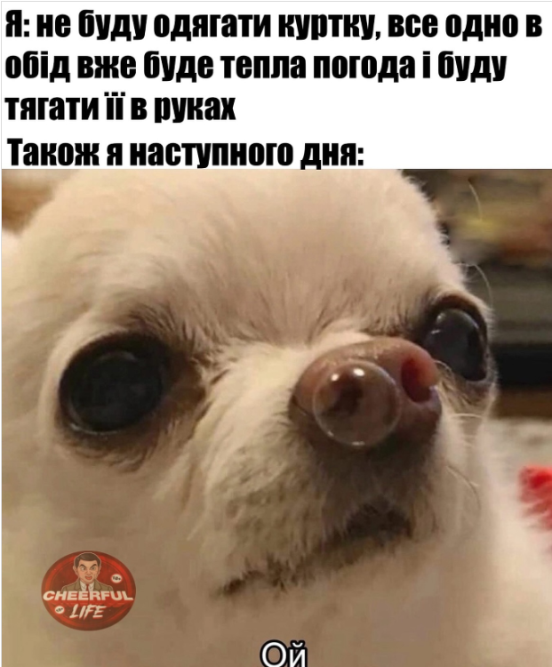 Мемы про осень: когда еще даже не похолодало, а уже хочется чаю, под одеяло и на ручки - фото 759681