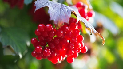 Язык творит нацию: 10 цитат, которые меняют отношение навсегда