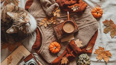 Що читати восени, коли хочеться тиші, пледа і трохи драми