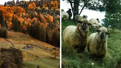 Фотограф показывает колоритную красоту Карпаты - после просмотра этих кадров ты бросишь все и поедешь в горы