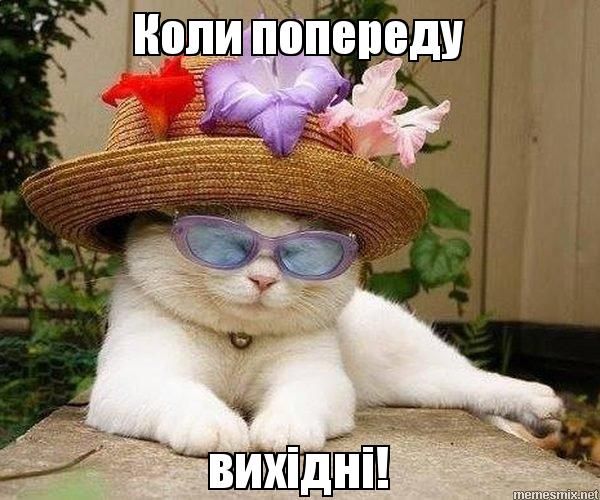 Мемы про пятницу: когда все еще телом на работе, а душой - где-то в баре - фото 761940