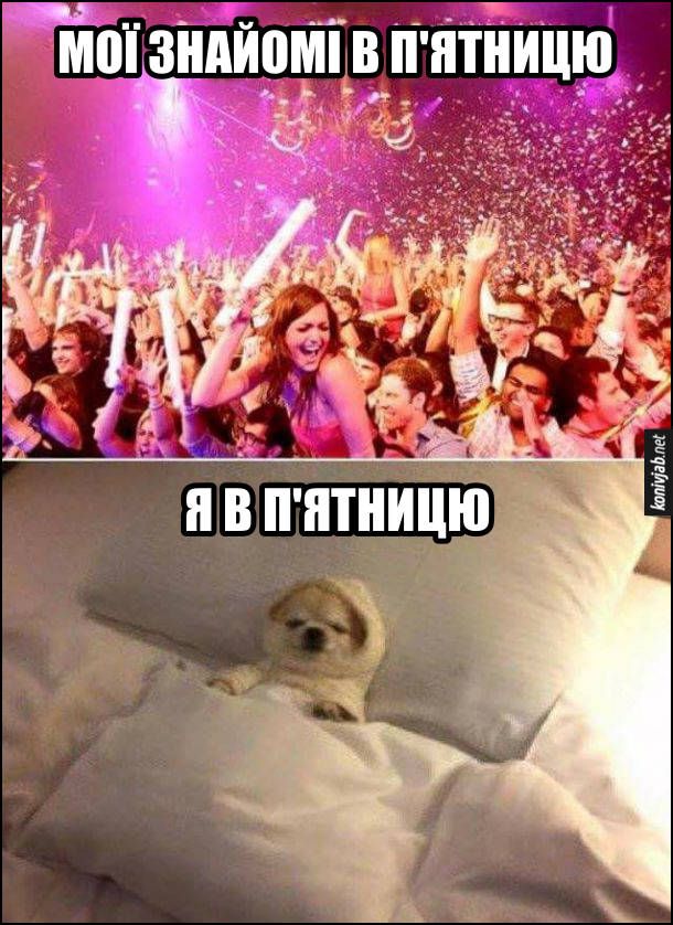 Мемы про пятницу: когда все еще телом на работе, а душой - где-то в баре - фото 761946