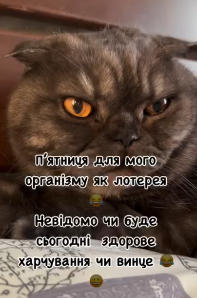 Мемы про пятницу: когда все еще телом на работе, а душой - где-то в баре - фото 761952