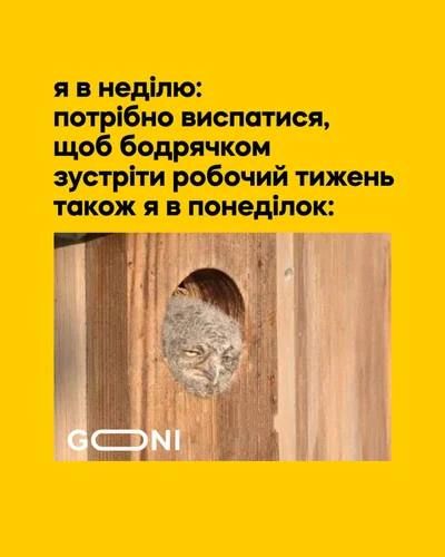 Мемы про понедельник: смешные картинки для идеального старта недели - 762608 Мемы про понедельник: смешные картинки для идеального старта недели - фото 762608