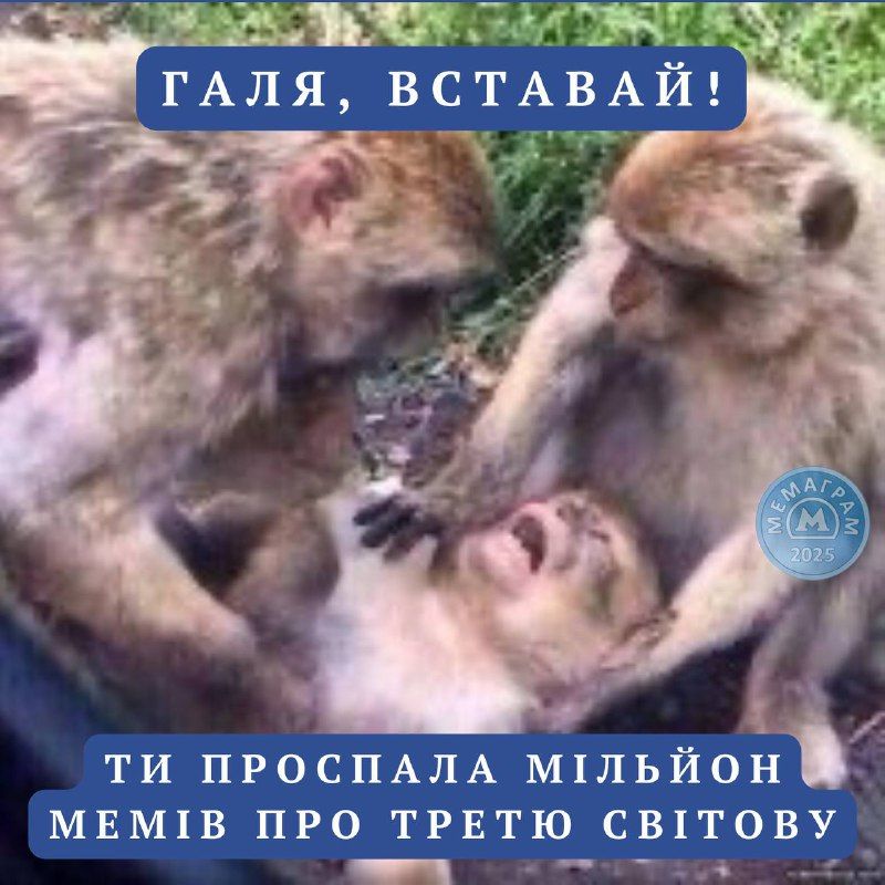 Мемы о дронах, которые залетели на территорию Польши: украинцы реагируют на ситуацию с юмором - 763605 Мемы о дронах, которые залетели на территорию Польши: украинцы реагируют на ситуацию с юмором - фото 763605