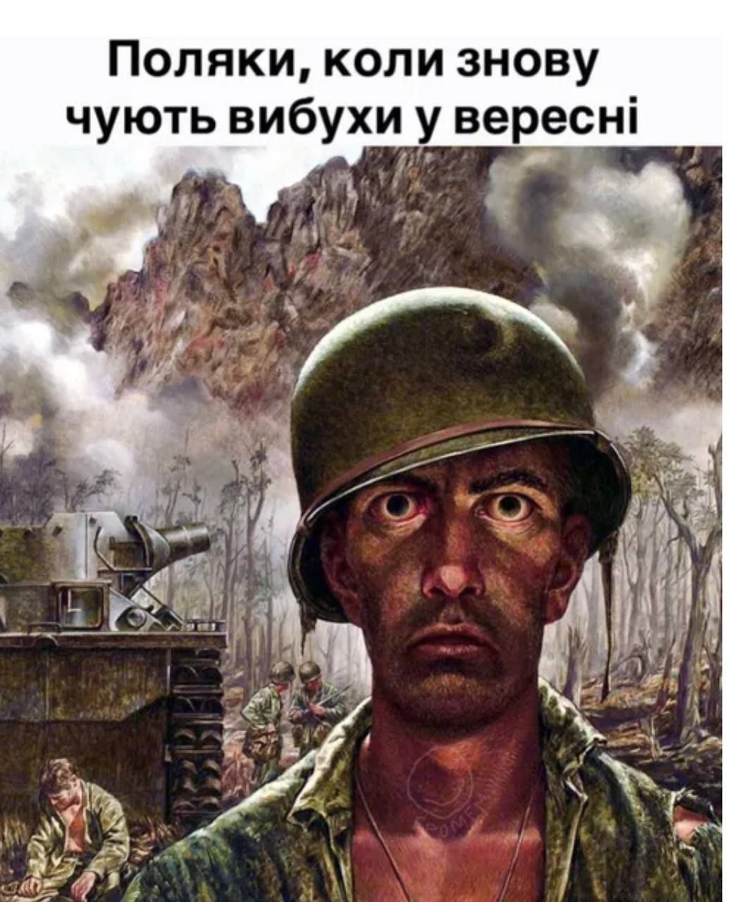 Мемы про шахеды в Польше взорвали сеть: эти фото точно заставят тебя смеяться до слез - 763815 Мемы про шахеды в Польше взорвали сеть: эти фото точно заставят тебя смеяться до слез - фото 763815