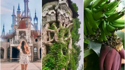 Куди поїхати з Києва на день: 5 локацій, які точно здивують