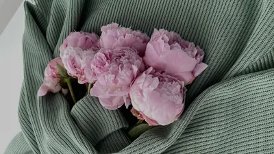 Самые лучшие поздравления с Днем ангела Людмилы 2025 с Днем ангела