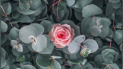 Красивые поздравления с Днем ангела 2025 для Людмилы - милые открыточки и особенная проза