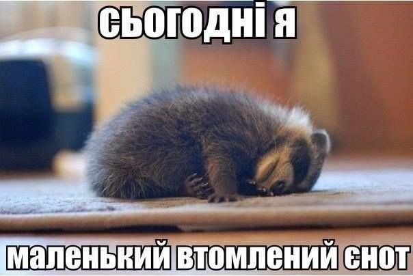 Мемы об усталости: смешно, правдиво и только для взрослых - фото 765817