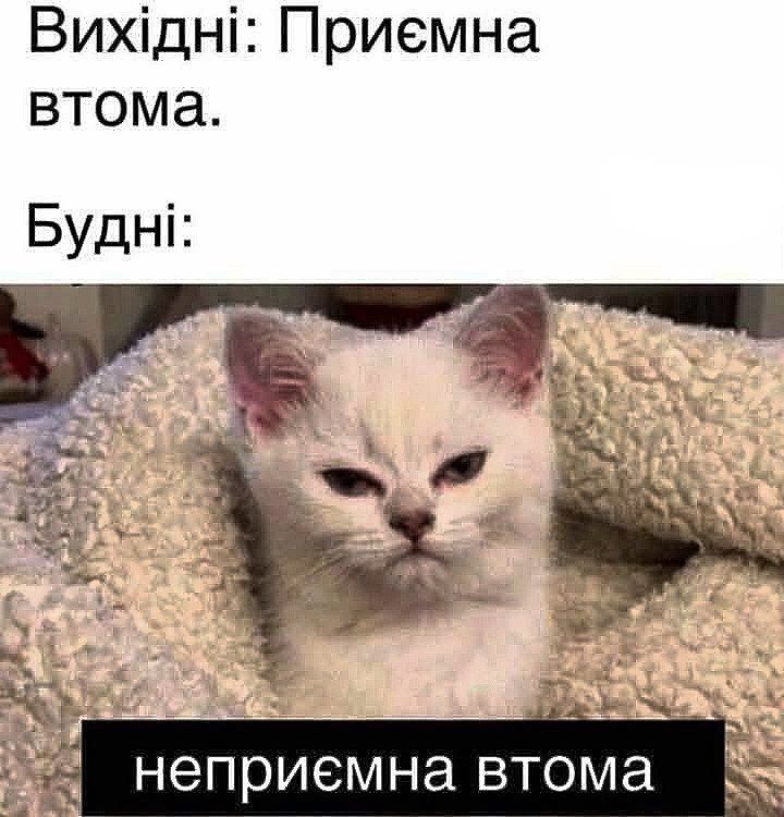 Мемы об усталости: смешно, правдиво и только для взрослых - фото 765819