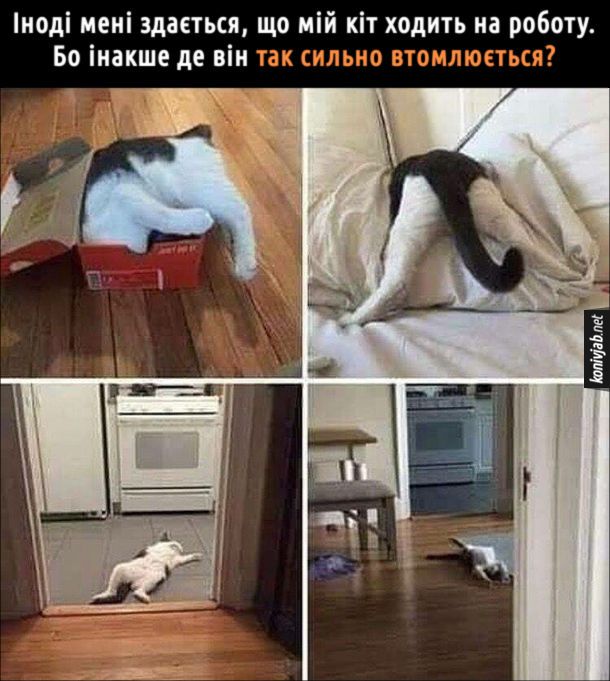 Мемы об усталости: смешно, правдиво и только для взрослых - фото 765822
