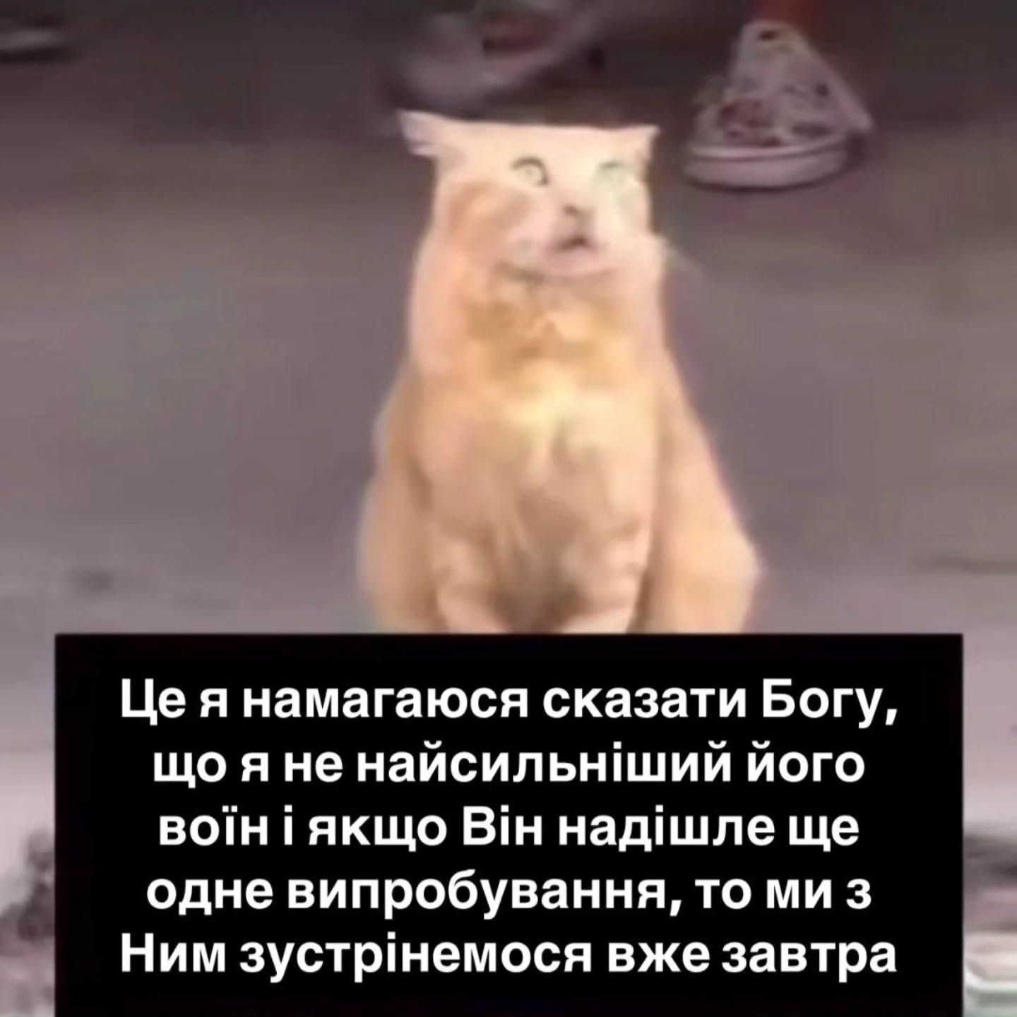 Мемы об усталости: смешно, правдиво и только для взрослых - фото 765823