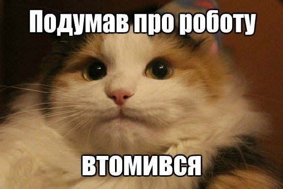 Мемы об усталости: смешно, правдиво и только для взрослых - фото 765826