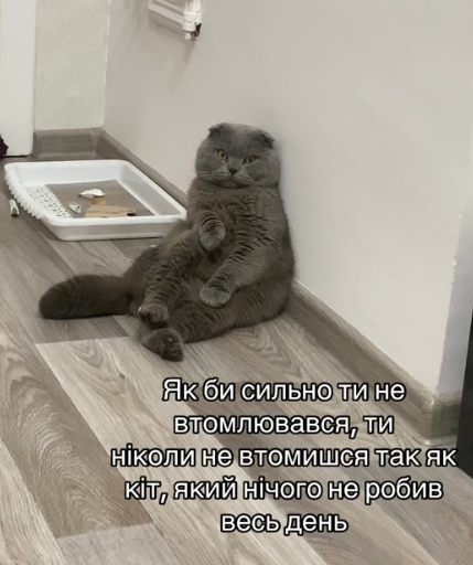 Мемы об усталости: смешно, правдиво и только для взрослых - фото 765829