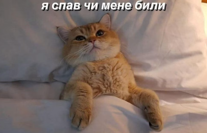 Мемы об усталости: смешно, правдиво и только для взрослых - фото 765830