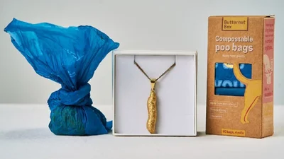 Золота какашка: британський бренд випустив оригінальні ювелірні кулони для собак