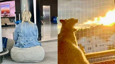 8 смешных фото, на которых что-то пошло не так, но получилось очень забавно