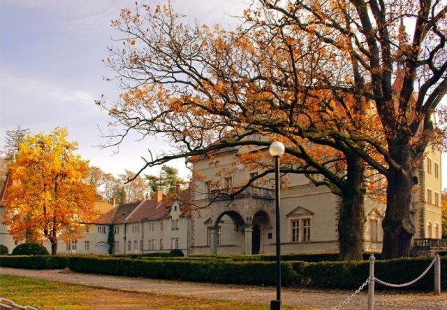 Палац графів Шенборнів - 768948 Палац графів Шенборнів - фото 768948