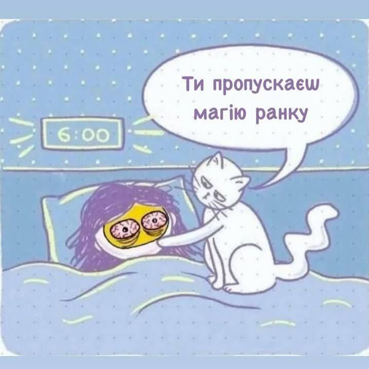 Мемы о котах, которых мы любим, хоть иногда они невыносимы - 769425 Мемы о котах, которых мы любим, хоть иногда они невыносимы - фото 769425